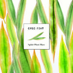 A review of “Spider Plant Blues” by Greg Foat