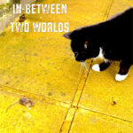 Nelda’s New Single ‘In-between Two Worlds’: A Journey Through Voluntary Displacement