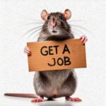 “Get A Job” by Splinter Is Punk With a Purpose – Loud, Honest, and Hard-Hitting