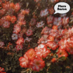 Under the Spell of Strings: Piers Baron’s “Beneath Our Regal Moon” Captivates Without a Word