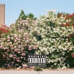 UK V!BES” by Pronto Valid — A Bold New Sound with a Global Twist