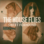 “Sweet Foxhound” by The House Flies: A Dark and Hypnotic Return