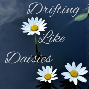 Drifting Like Daisies
