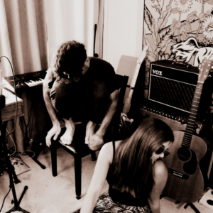 Let Us In – The Shrubs