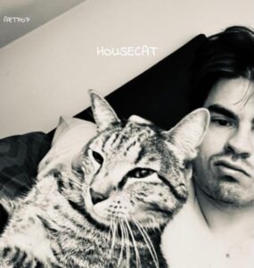 housecAt –  art pop
