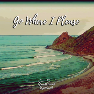 South Swell Syndicate — Go Where I Please